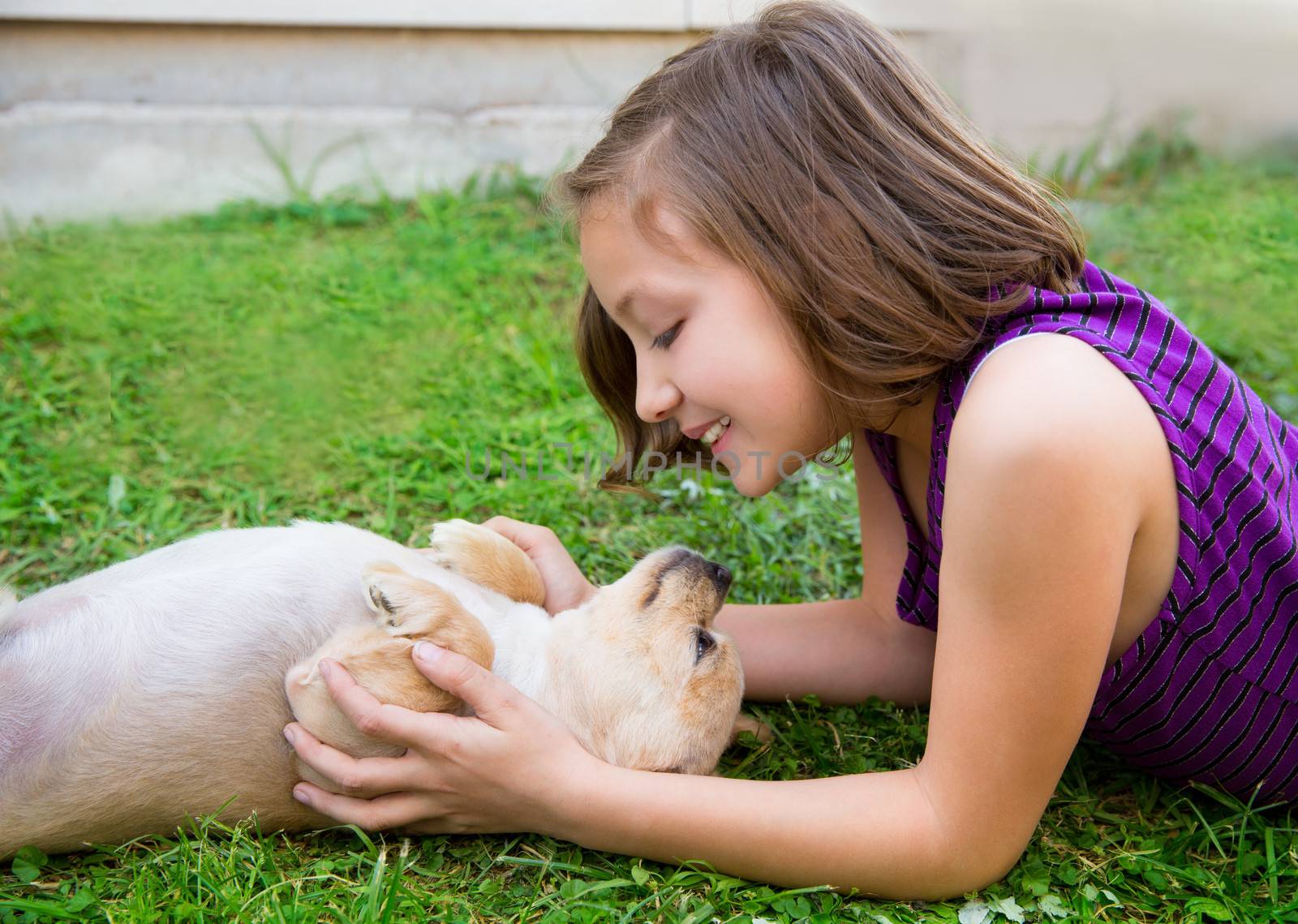 children girl playing with chihuahua dog lying on lawn by lunamarina