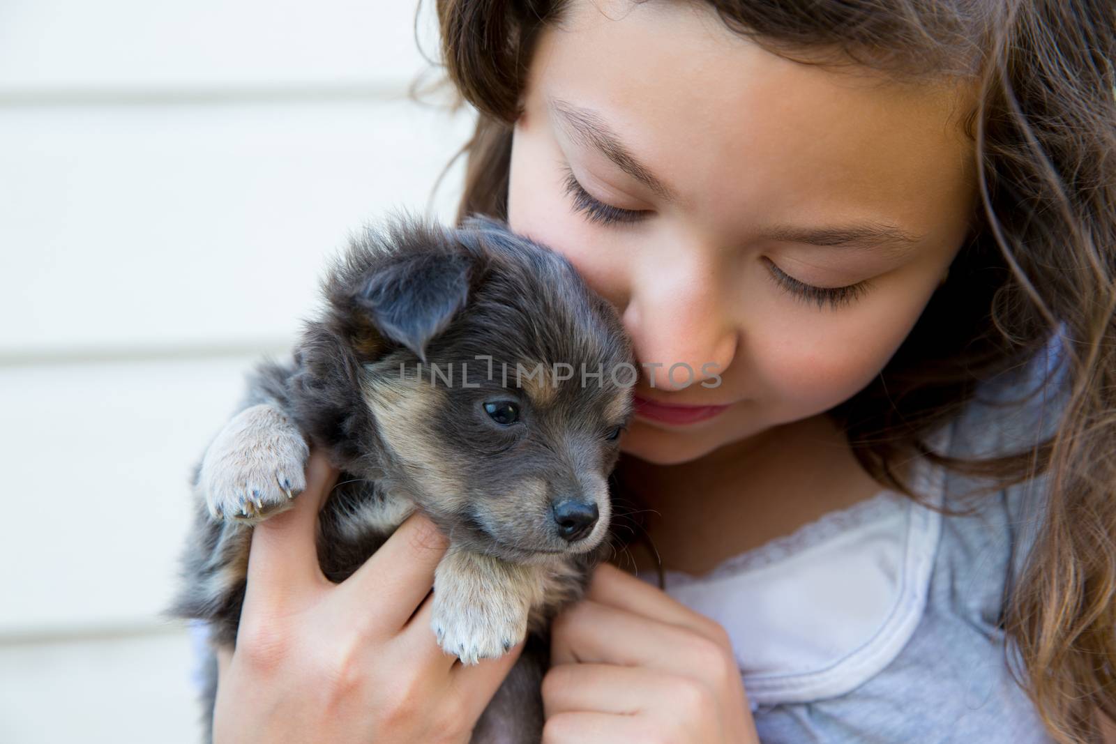 girl hug a little puppy dog gray hairy chihuahua by lunamarina