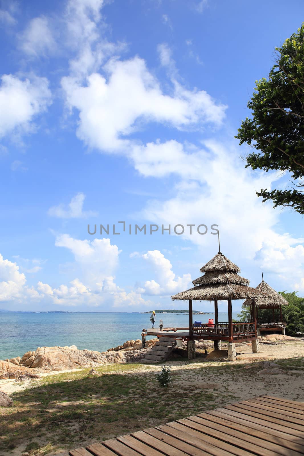 Wooden jetty on tropical beach on island by rufous