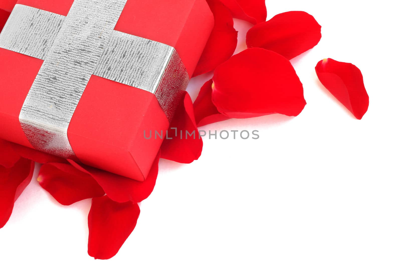 Valentines Day gift and rose petals isolated on white
