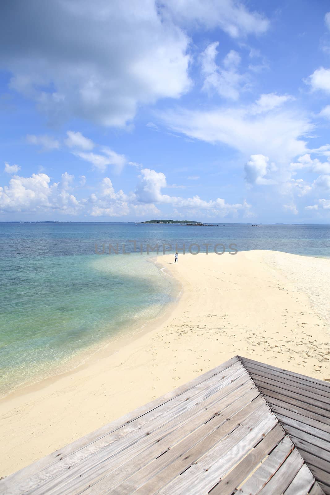 Wooden jetty on tropical beach on island by rufous