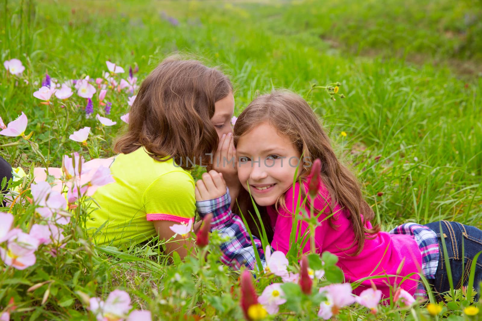 happy twin sister girls playing whispering ear in meadow by lunamarina