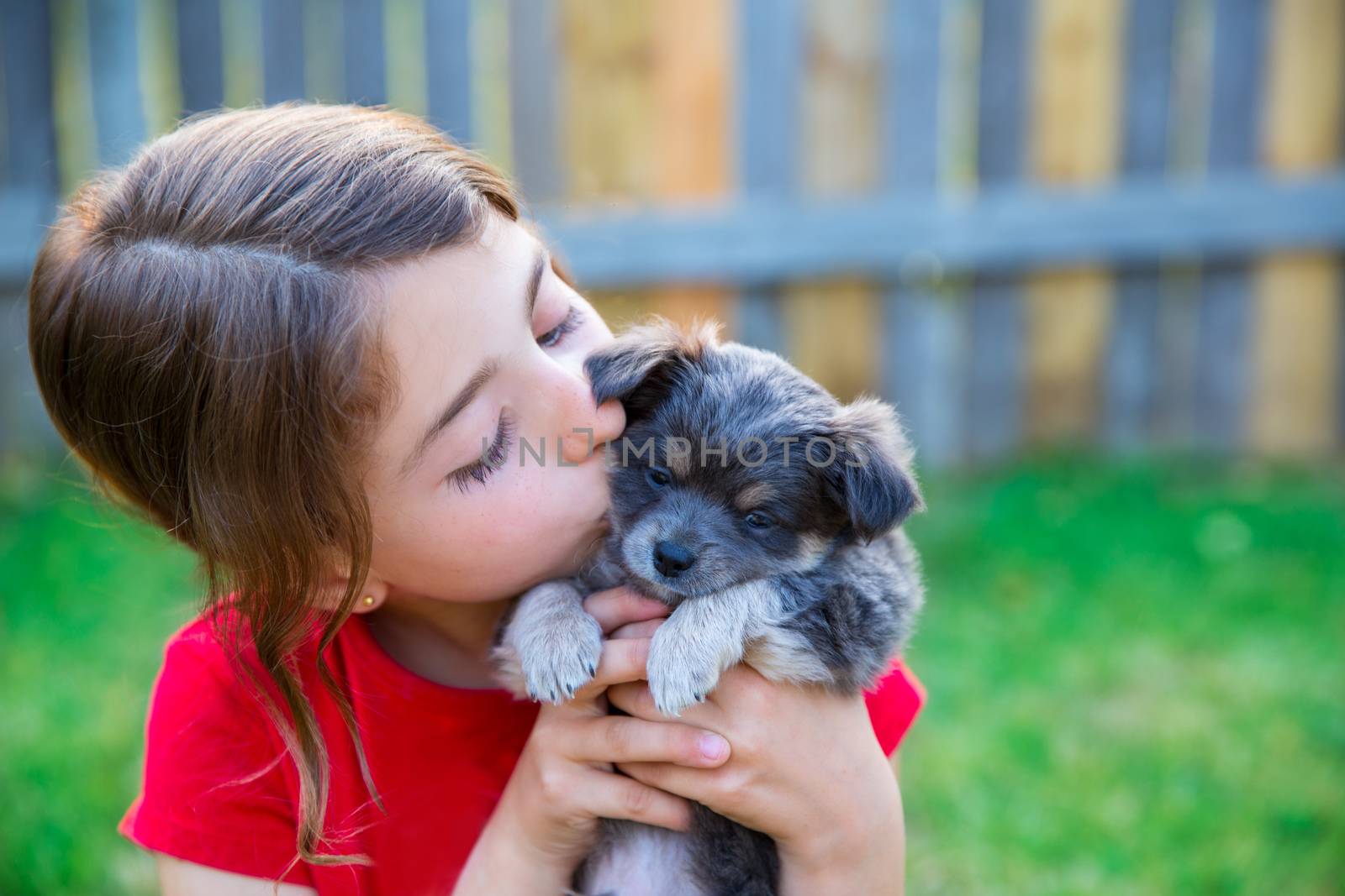 children girl kissing her puppy chihuahua doggy on the wood fence