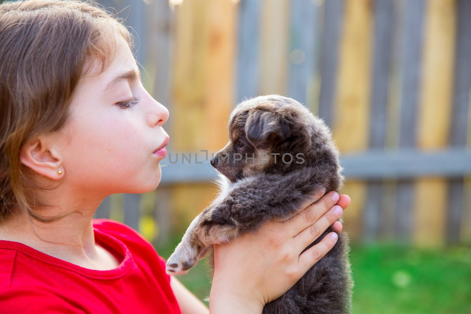 Beautiful kid girl portrait with puppy chihuahua doggy by lunamarina