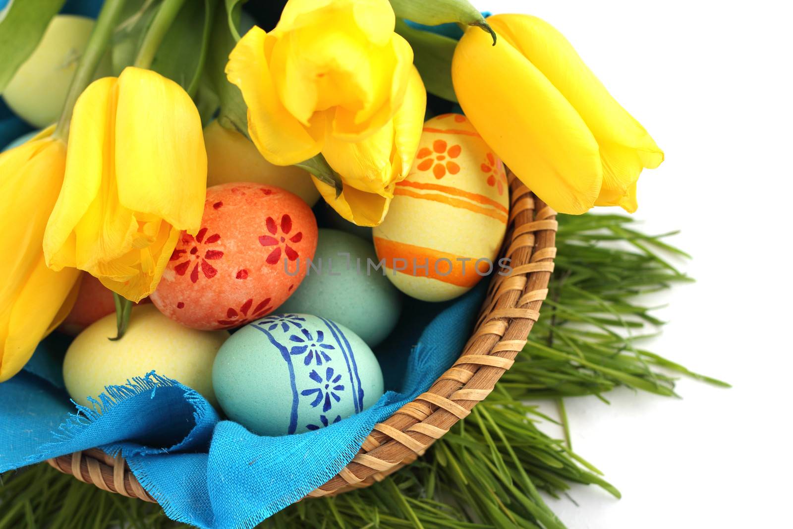 Basket of easter eggs and tulips on white by destillat