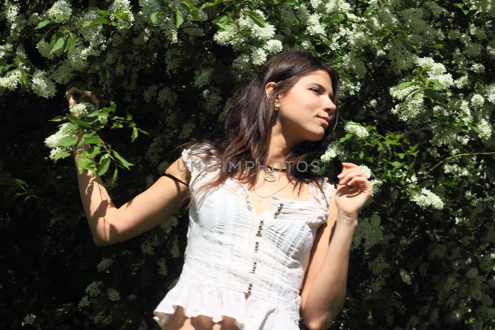 Beautiful girl on blooming bird-cherry tree background