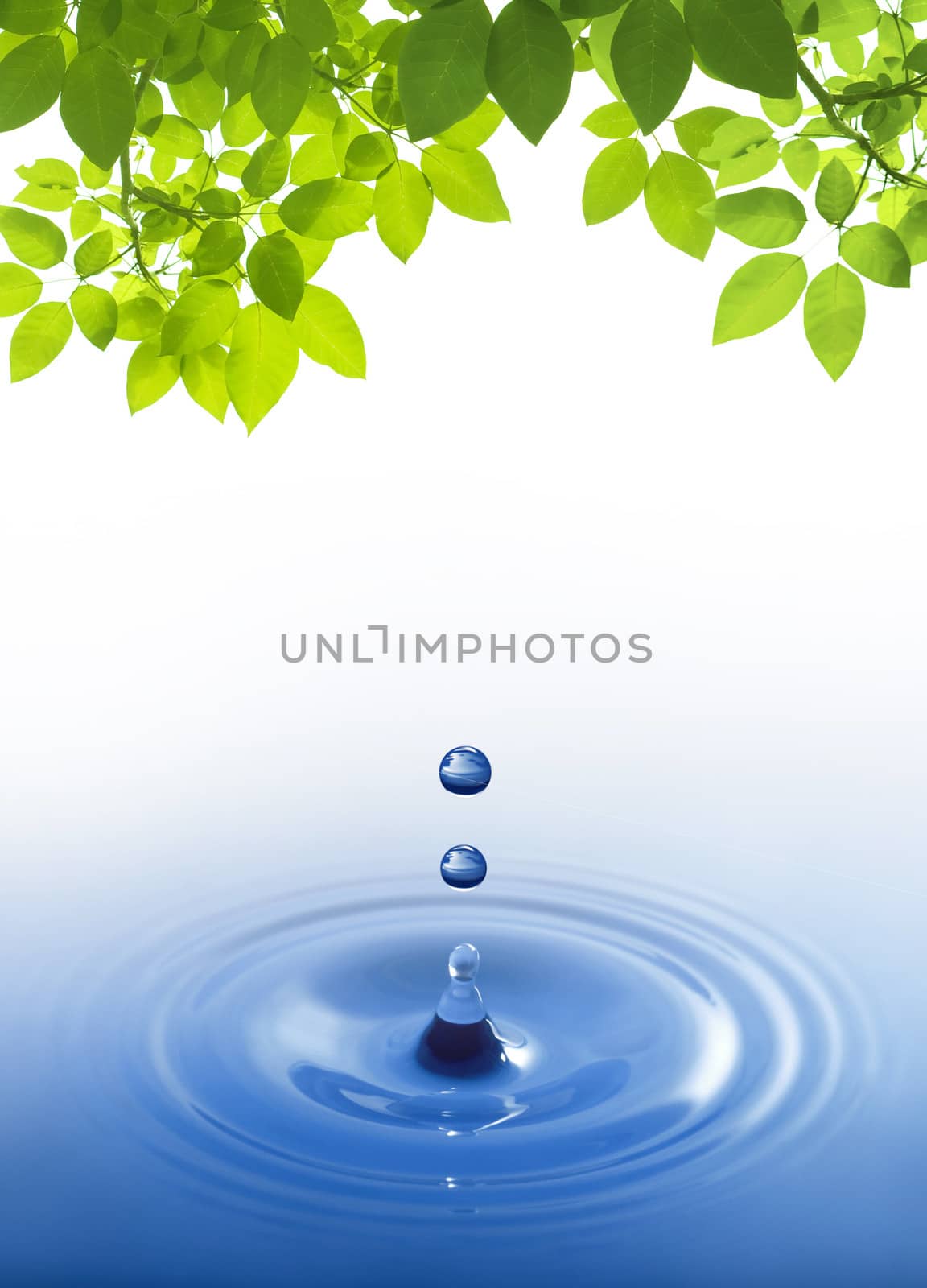 blue water drop on white background