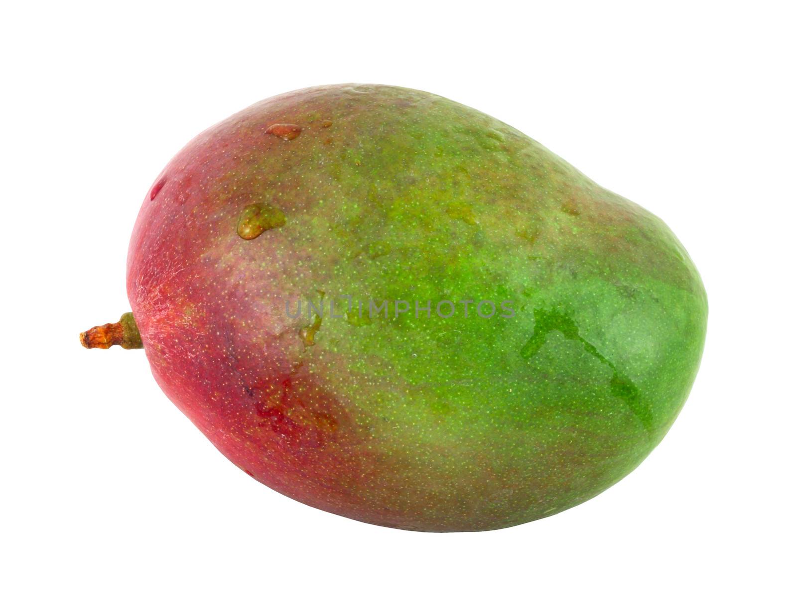 One mango fruit isolated on white background