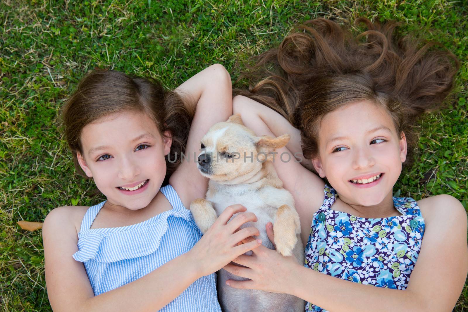 twin sisters playing with chihuahua dog lying on backyard lawn