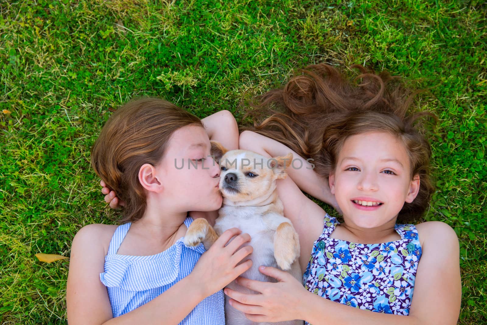 twin sisters playing with chihuahua dog lying on lawn by lunamarina