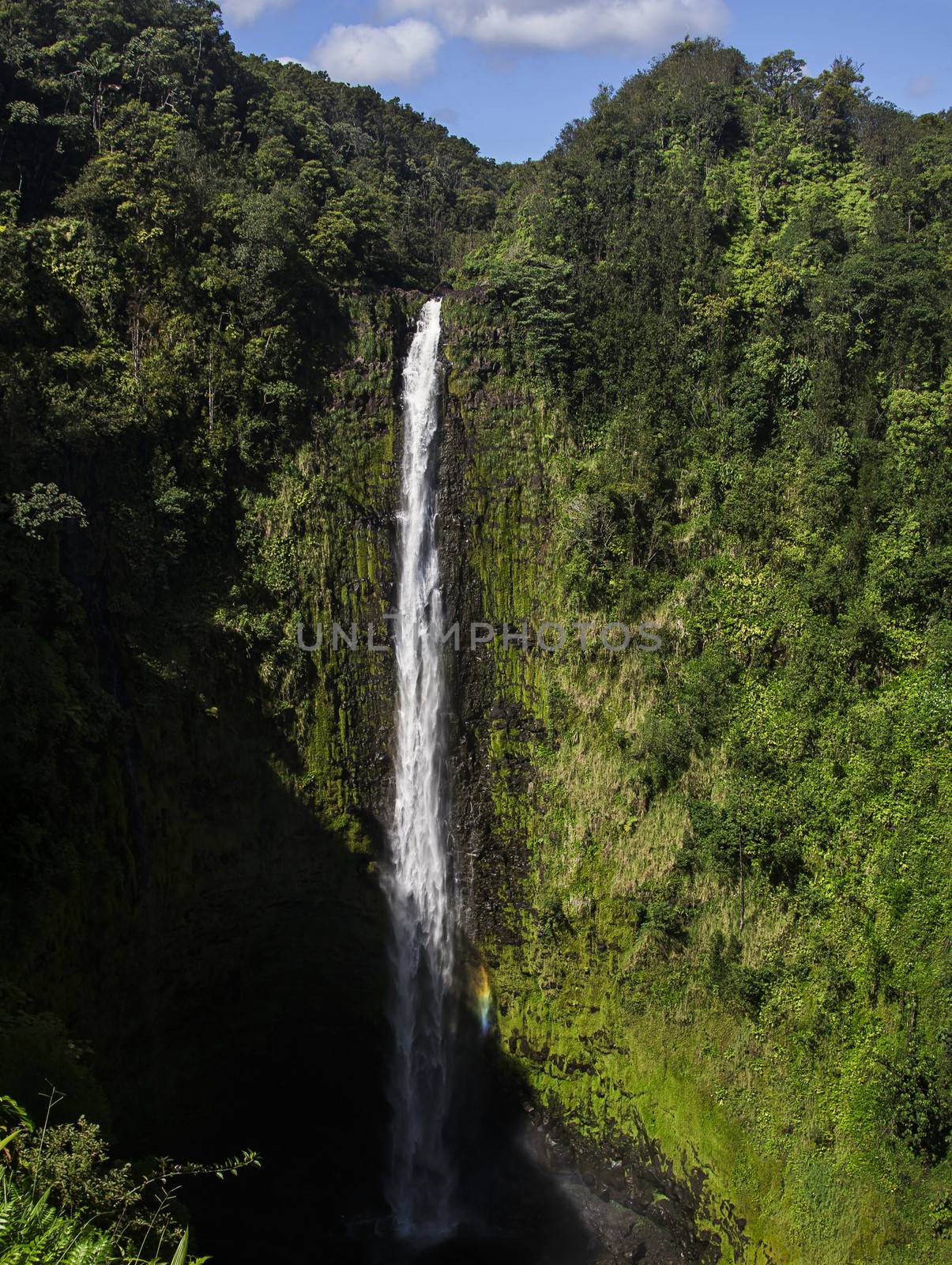 Spectacular Akaka Falls with rainbow, 420 feet high waterfall north of Hilo on Big Island, Hawaii.
