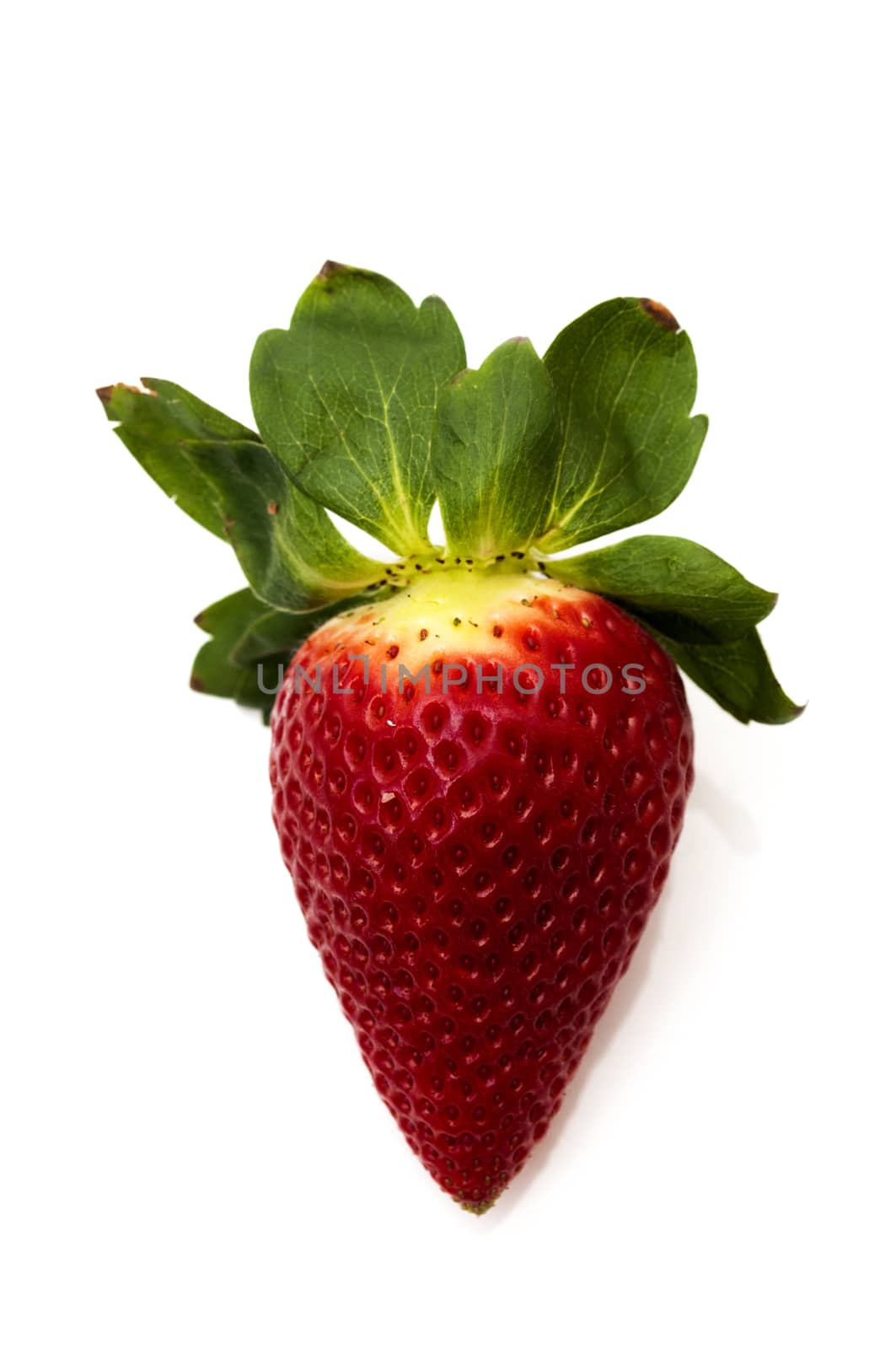 strawberries on a white background 