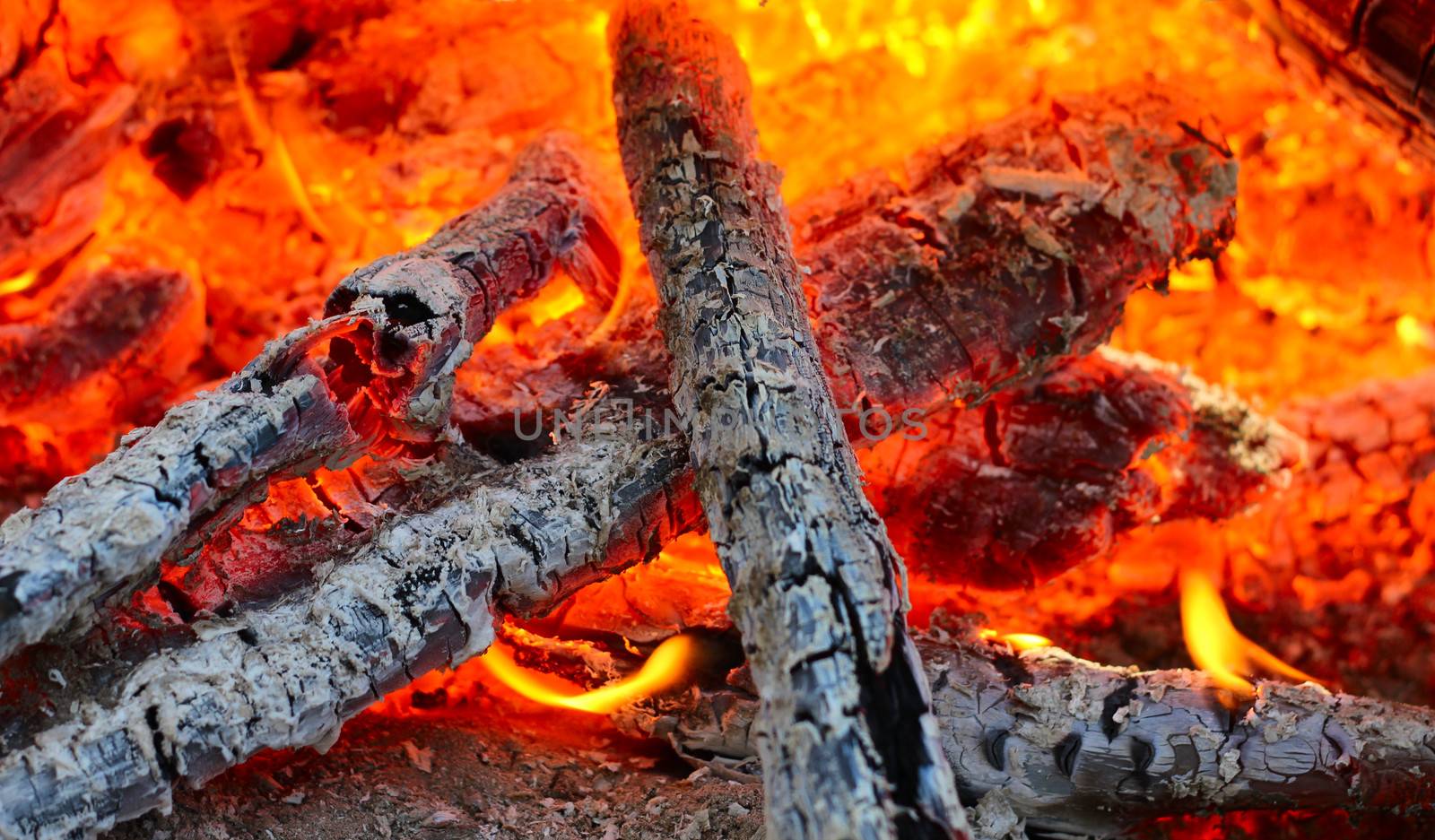 Beautiful fire on coal macro closeup