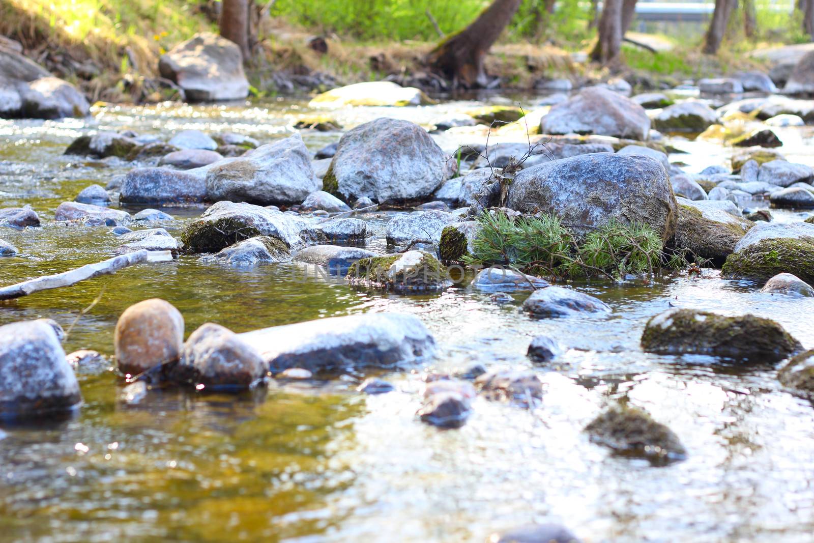 Calm river with stones by destillat