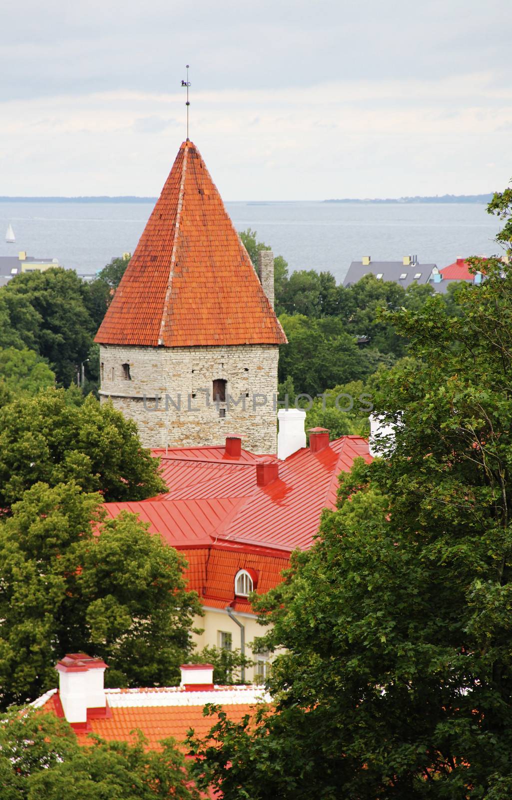 Beautiful towera of old Tallinn in summertime