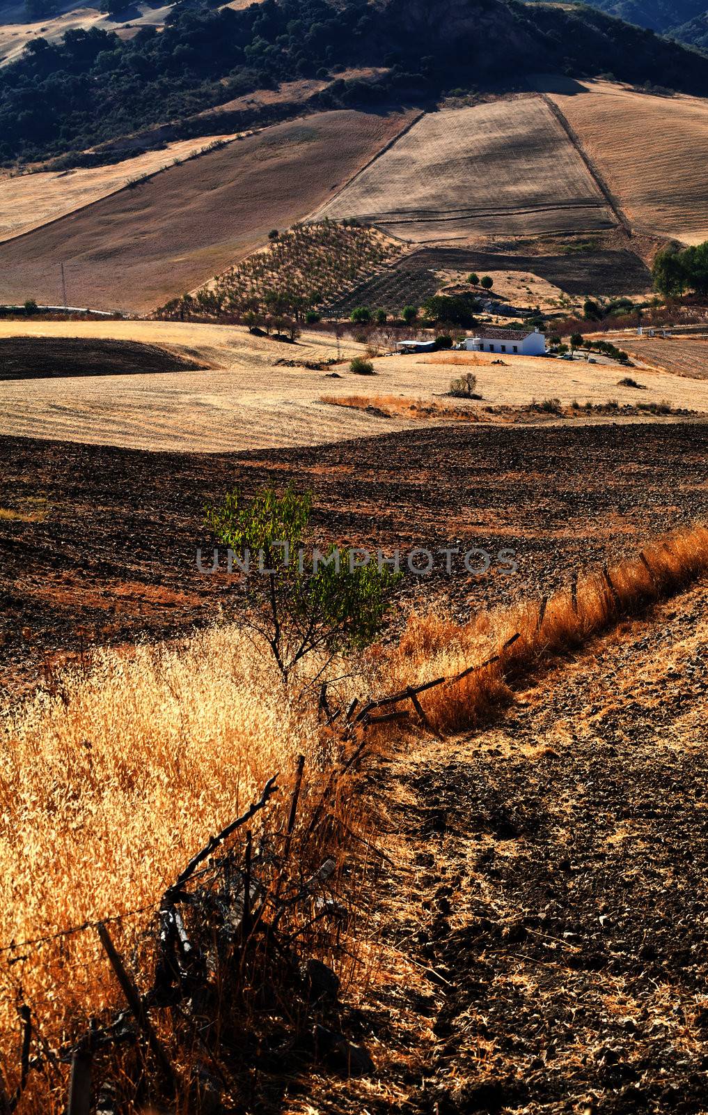 Spanish villa by Montecorto, Andalucia