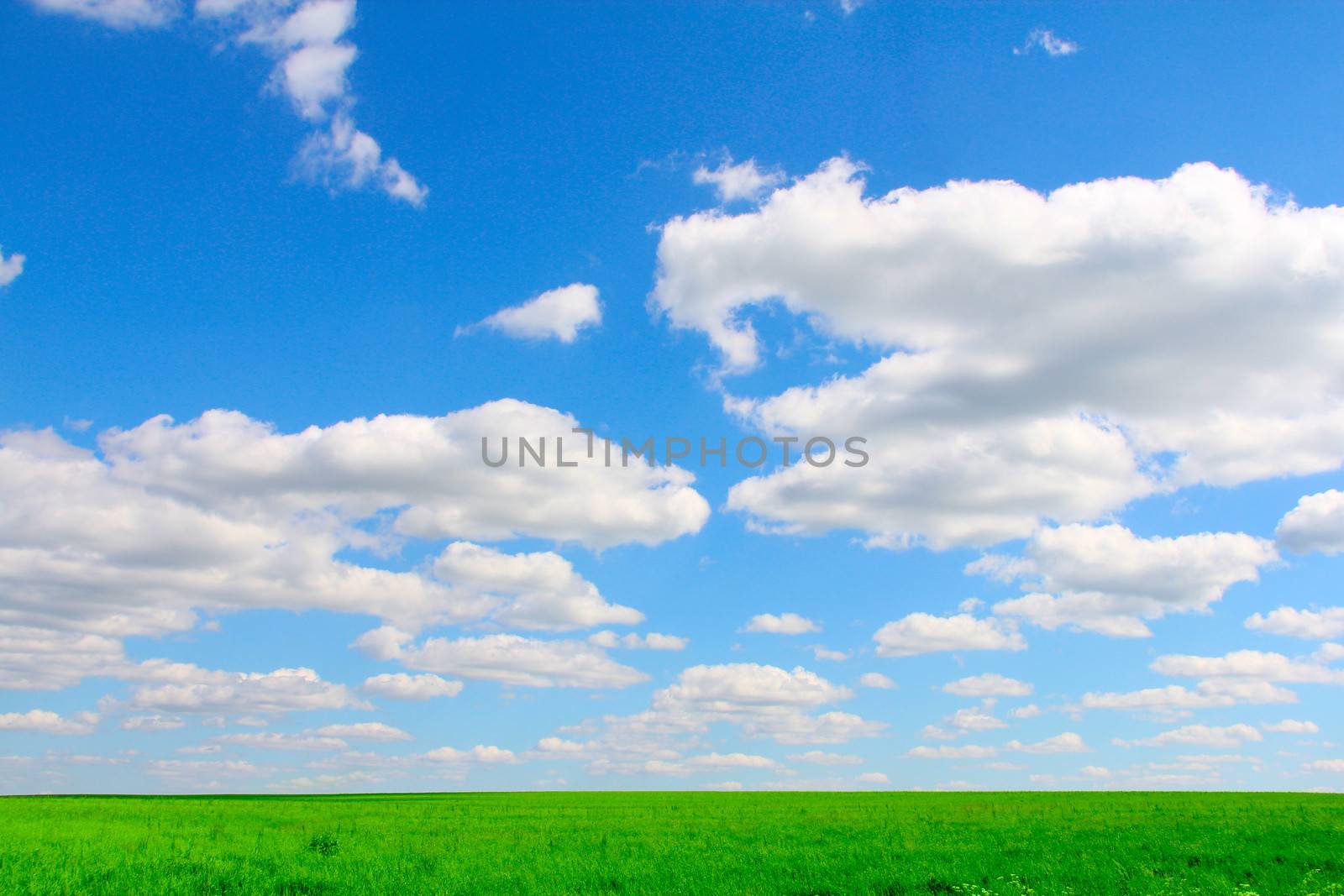 Beautiful landscape of plain field under cloudy blue sky