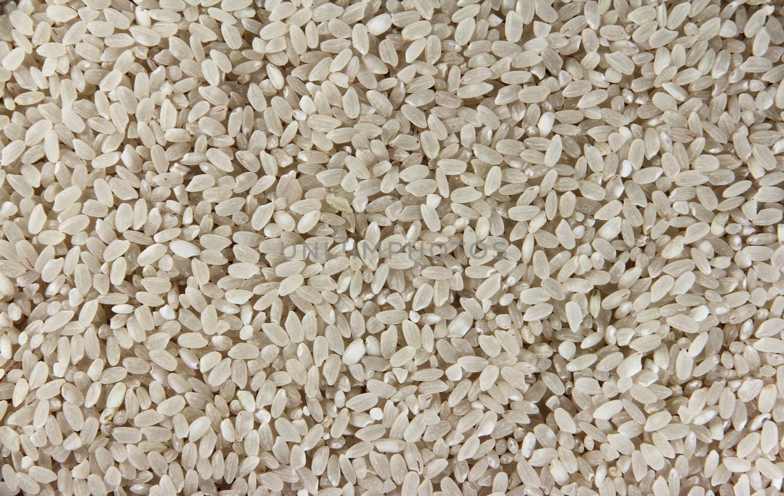 White rice background close up