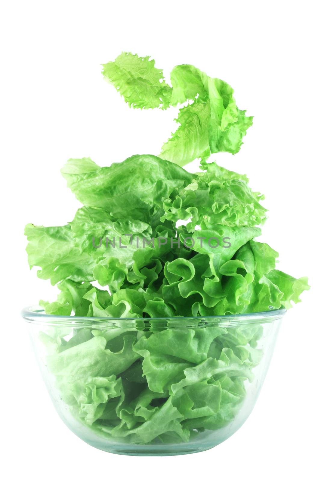  Light lettuce salad in transparent bowl isolated on white lightness concept
