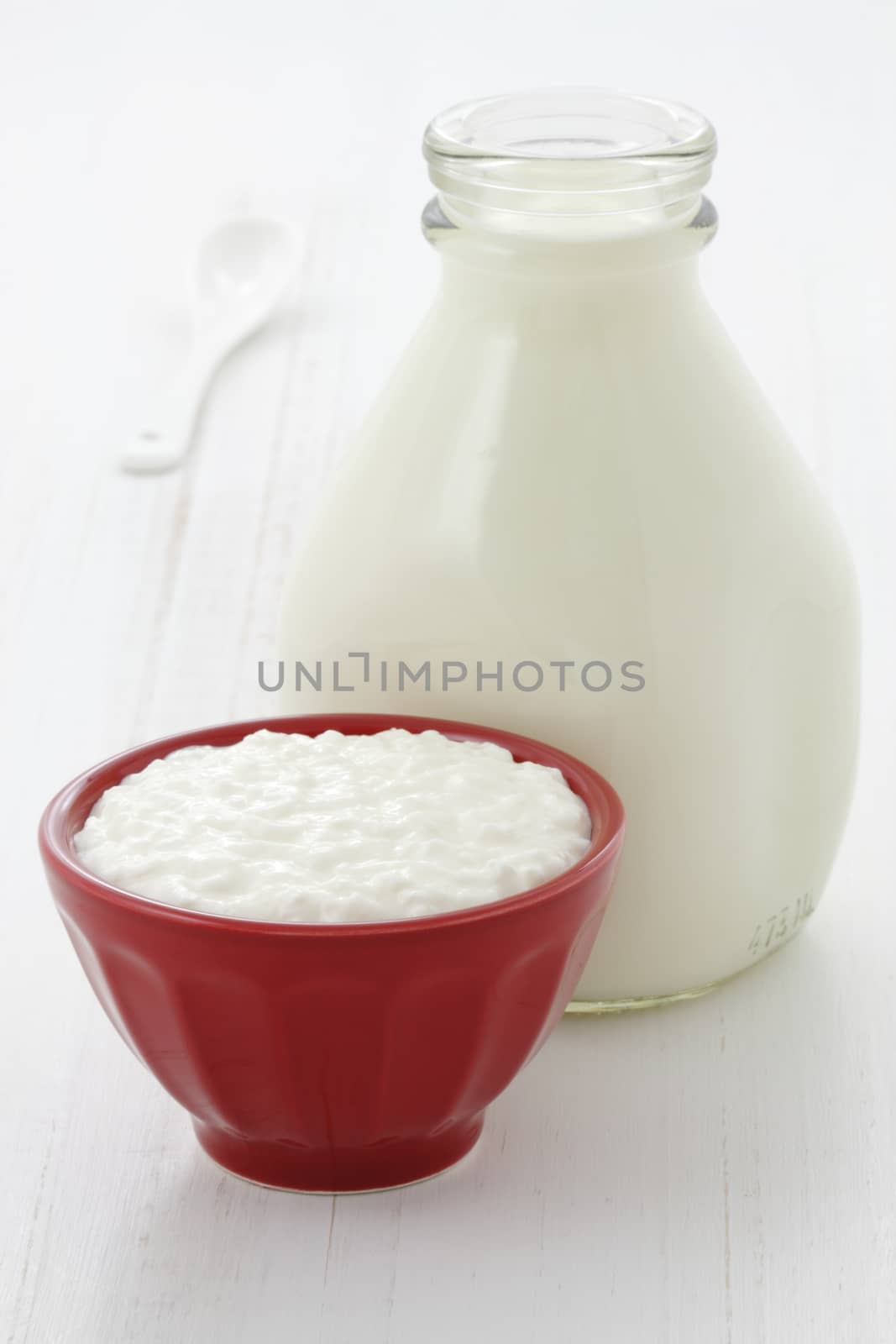 Delicious healthy milk and cottage cheese by tacar