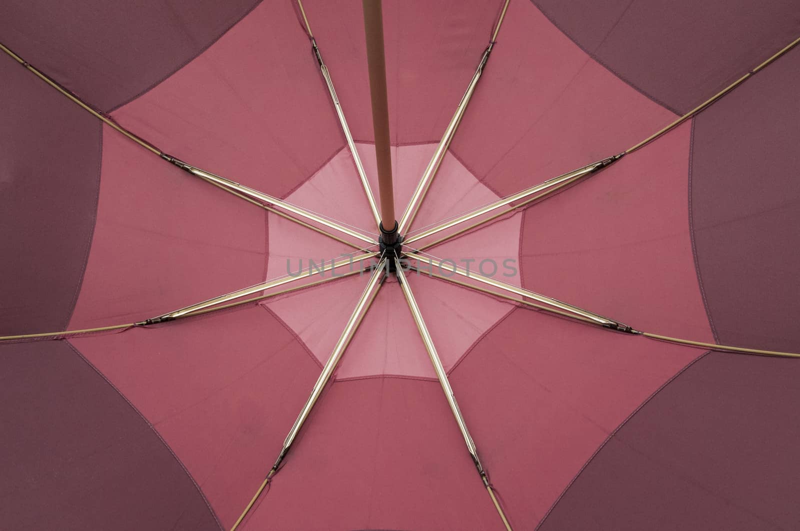 bottom of a multicolored umbrella lilac