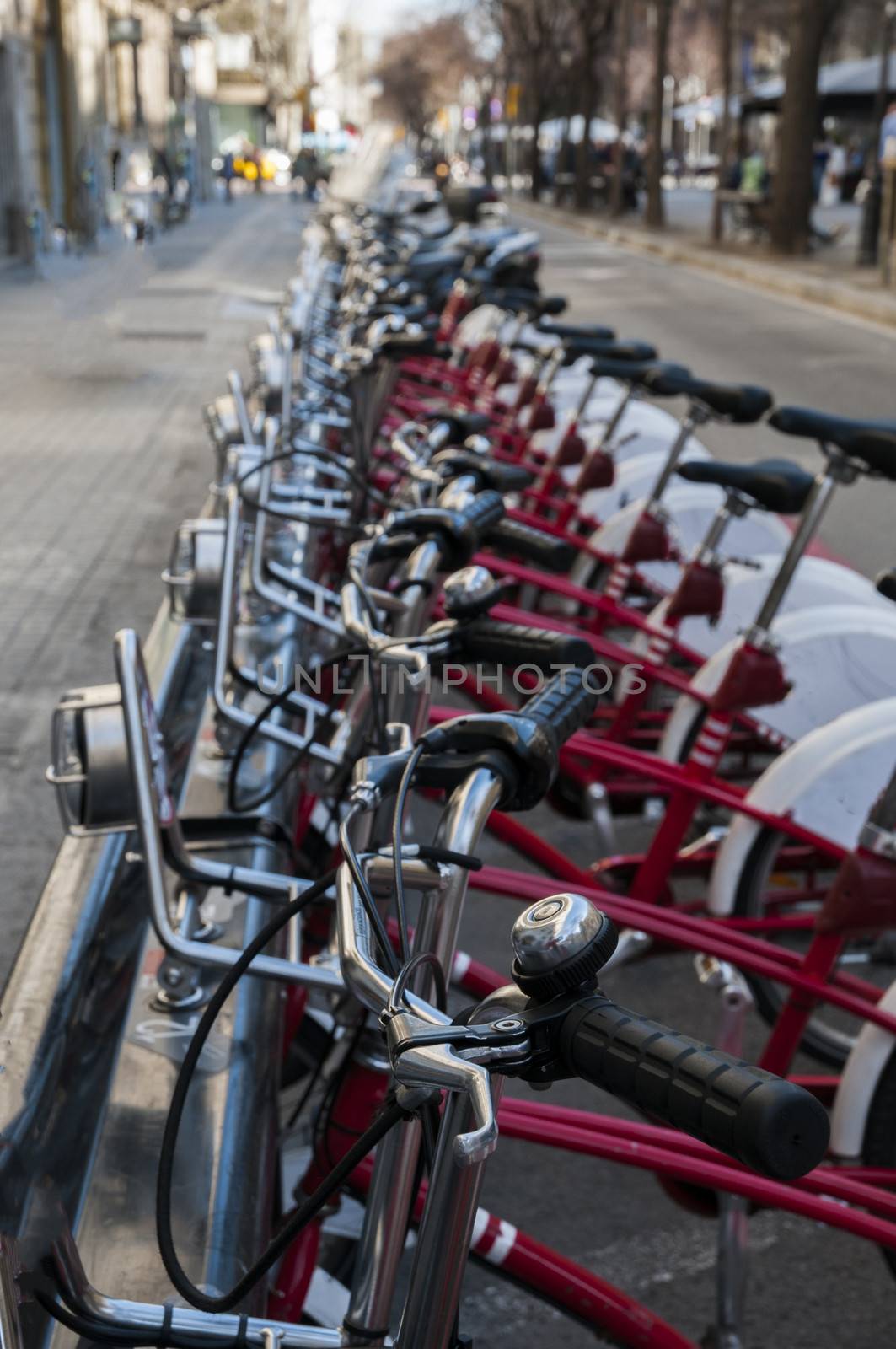 bikes lined up to rent them