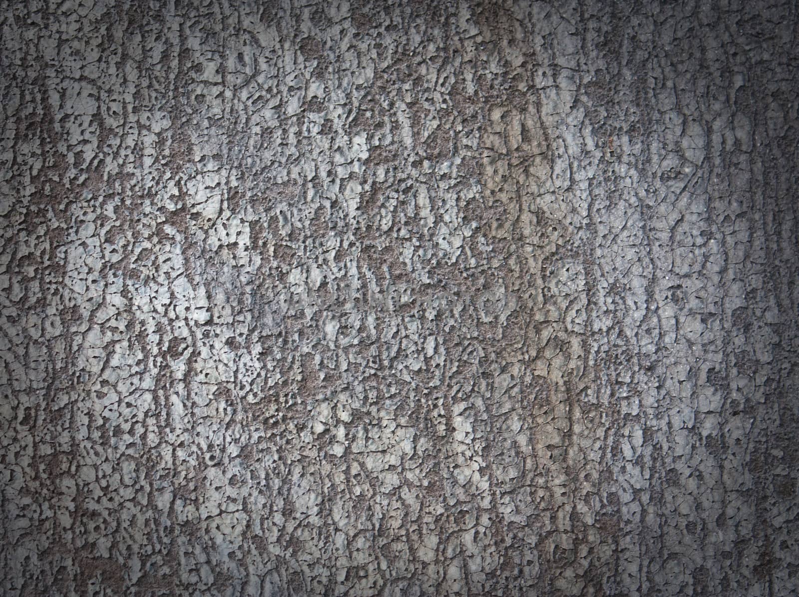 Grey texture of tree bark with frame