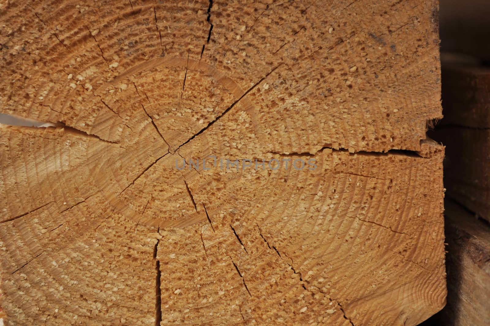 The pattern of cross-spila wooden beams. Annual rings and radial cracks.