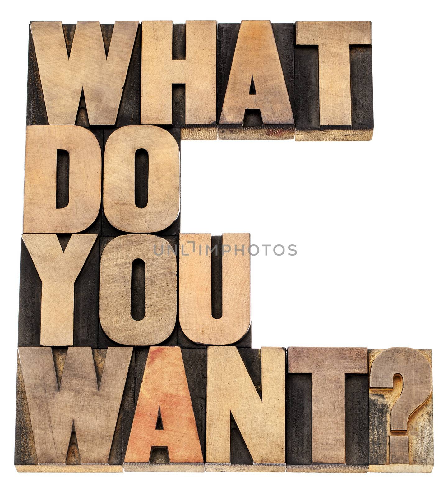what do you want question - isolated text in vintage letterpress wood type