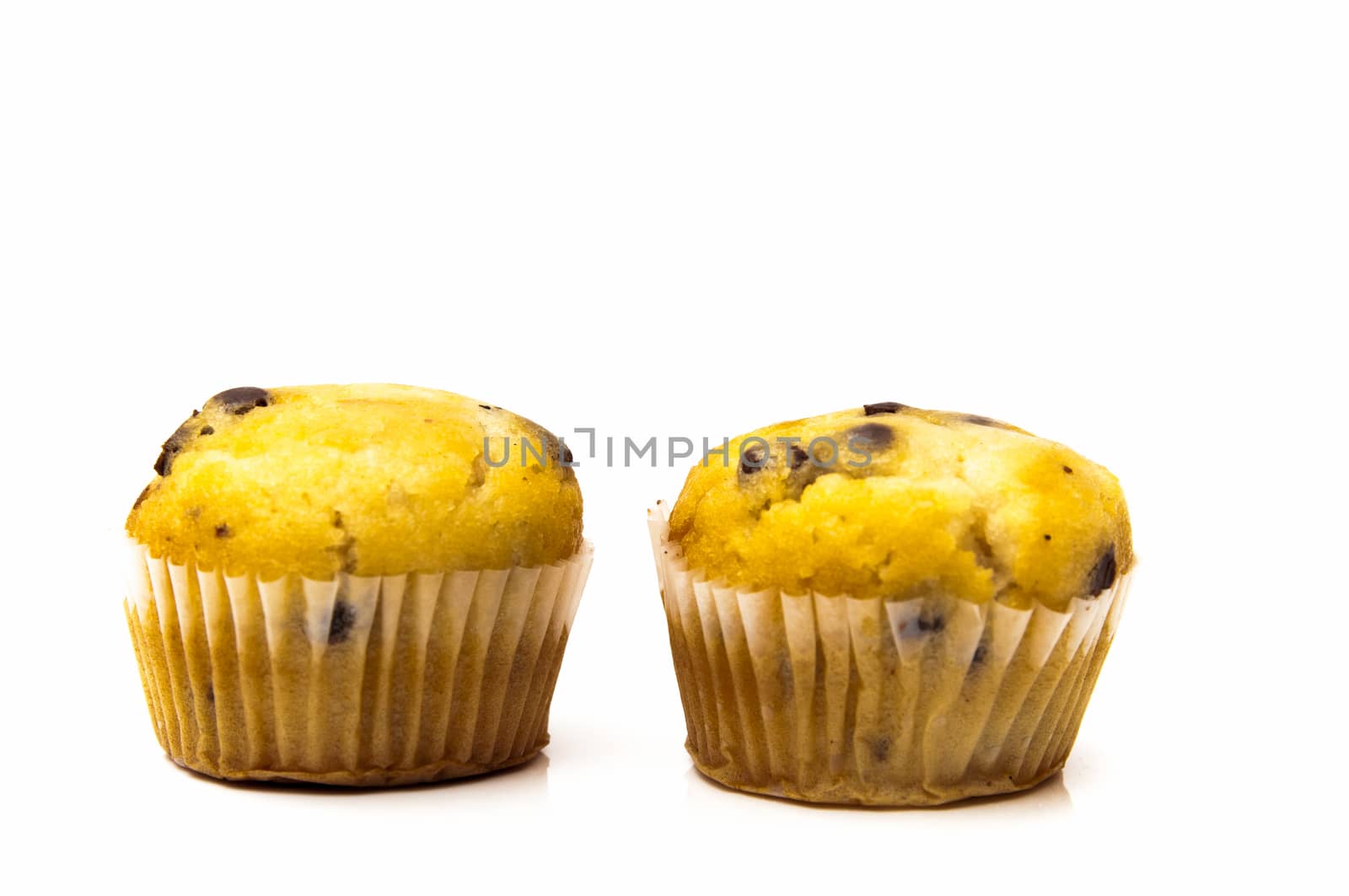 chocolate cupcakes on a white background