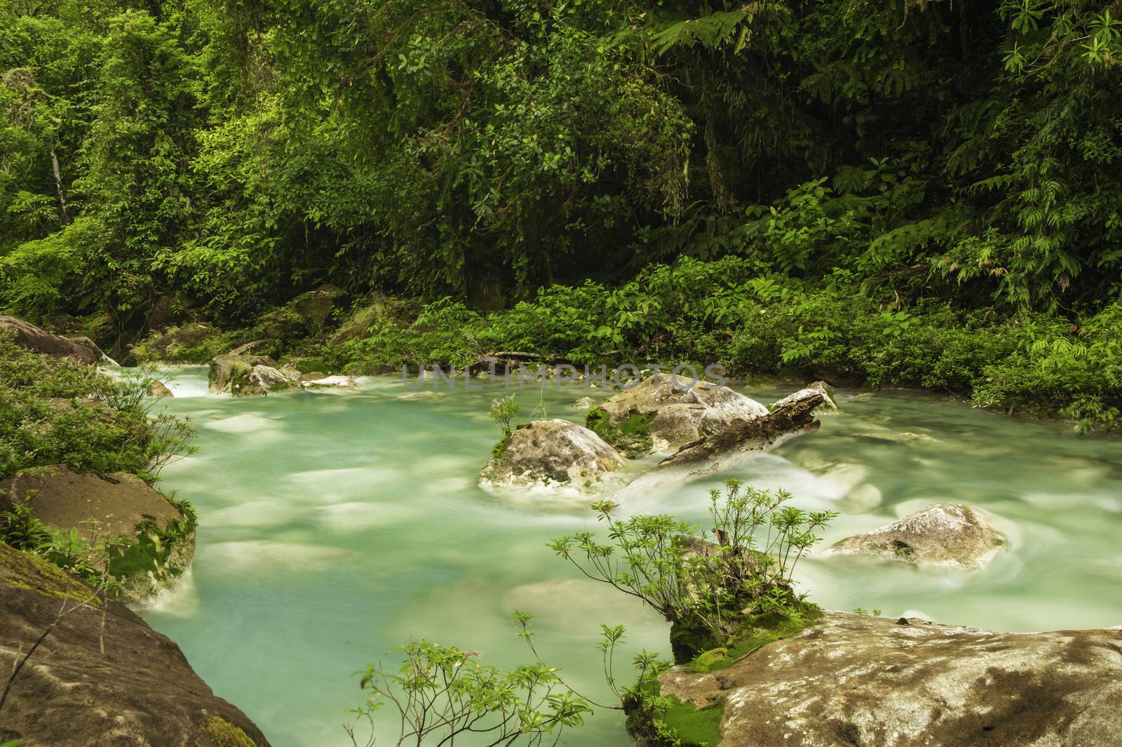 Chemicals contained within the waters of two rivers react to create the vivid blue color of Rio Celeste in Costa Rica.