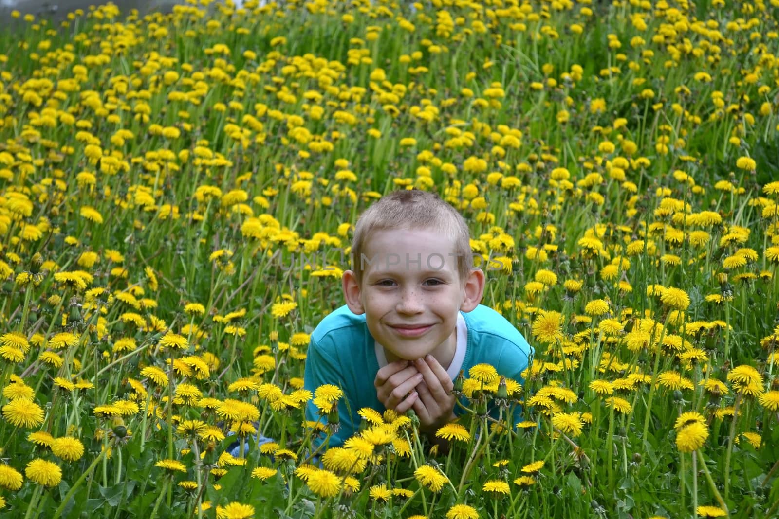 the happy teenager sits on a clearing from dandelions