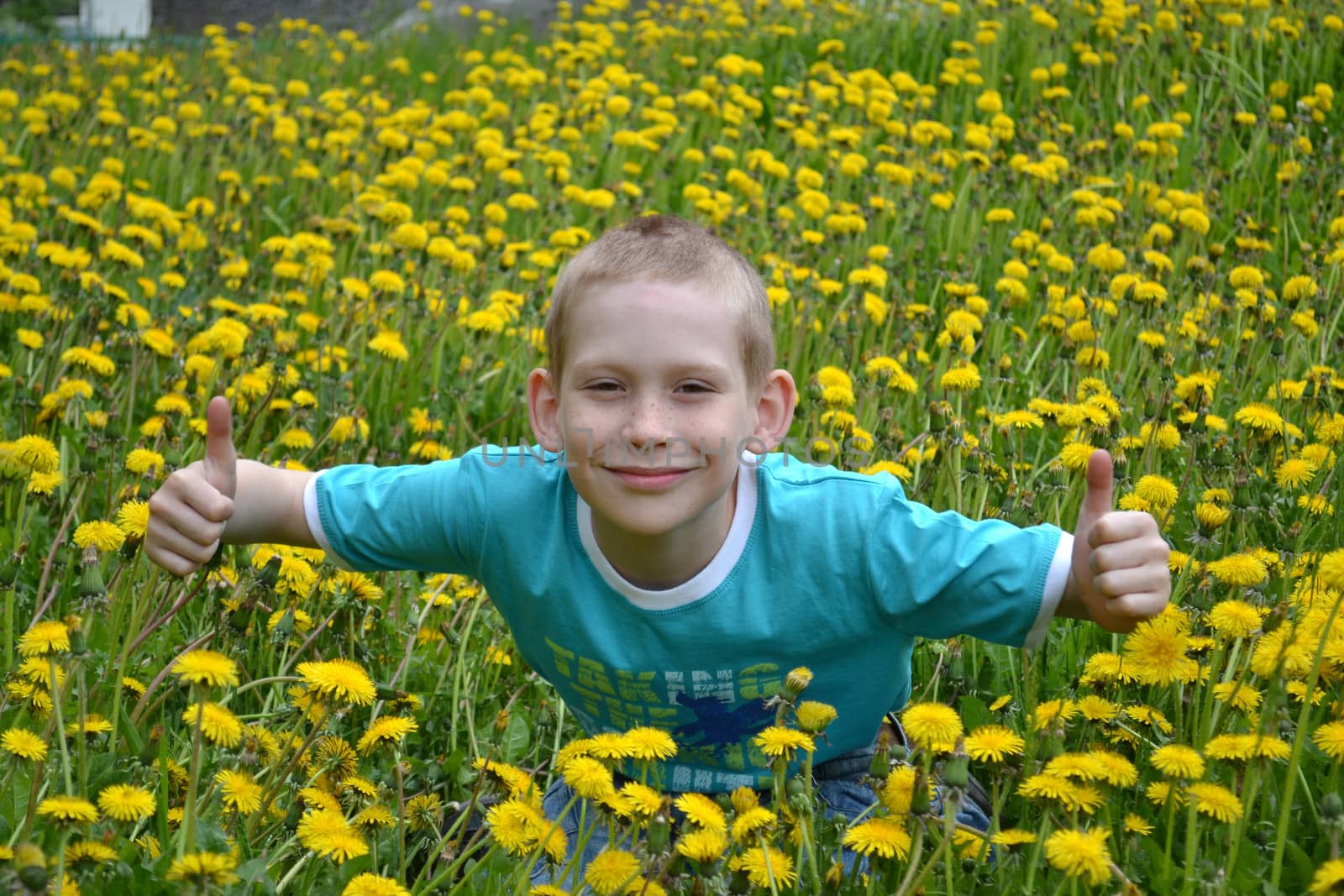 the boy on a clearing from dandelions by veronka72