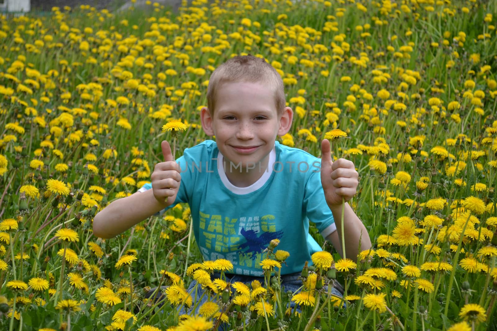 the happy teenager sits on a clearing from dandelions