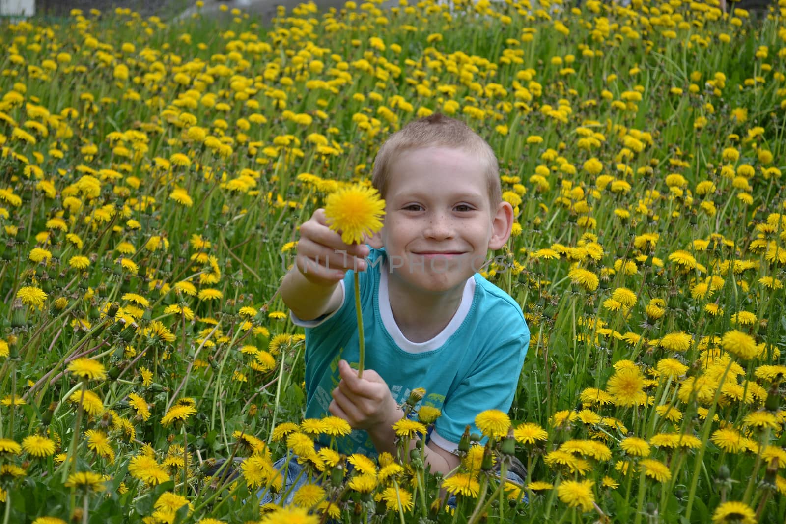 the boy on a clearing from dandelions by veronka72