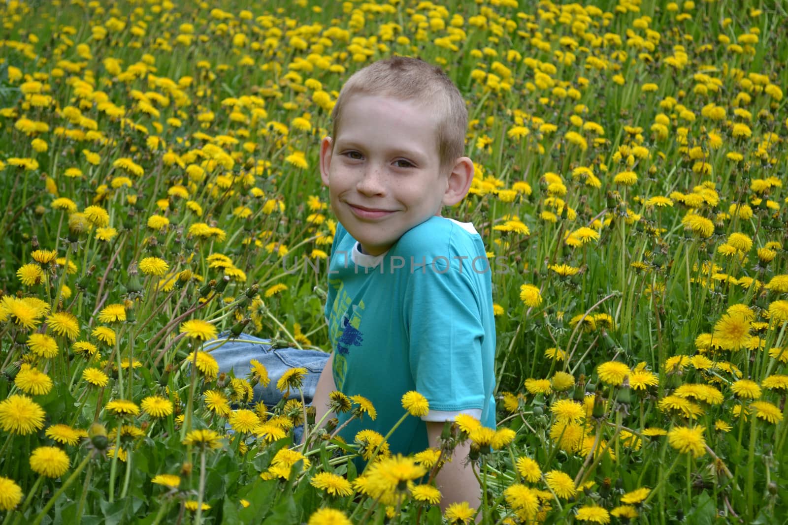 the boy on a clearing from dandelions by veronka72