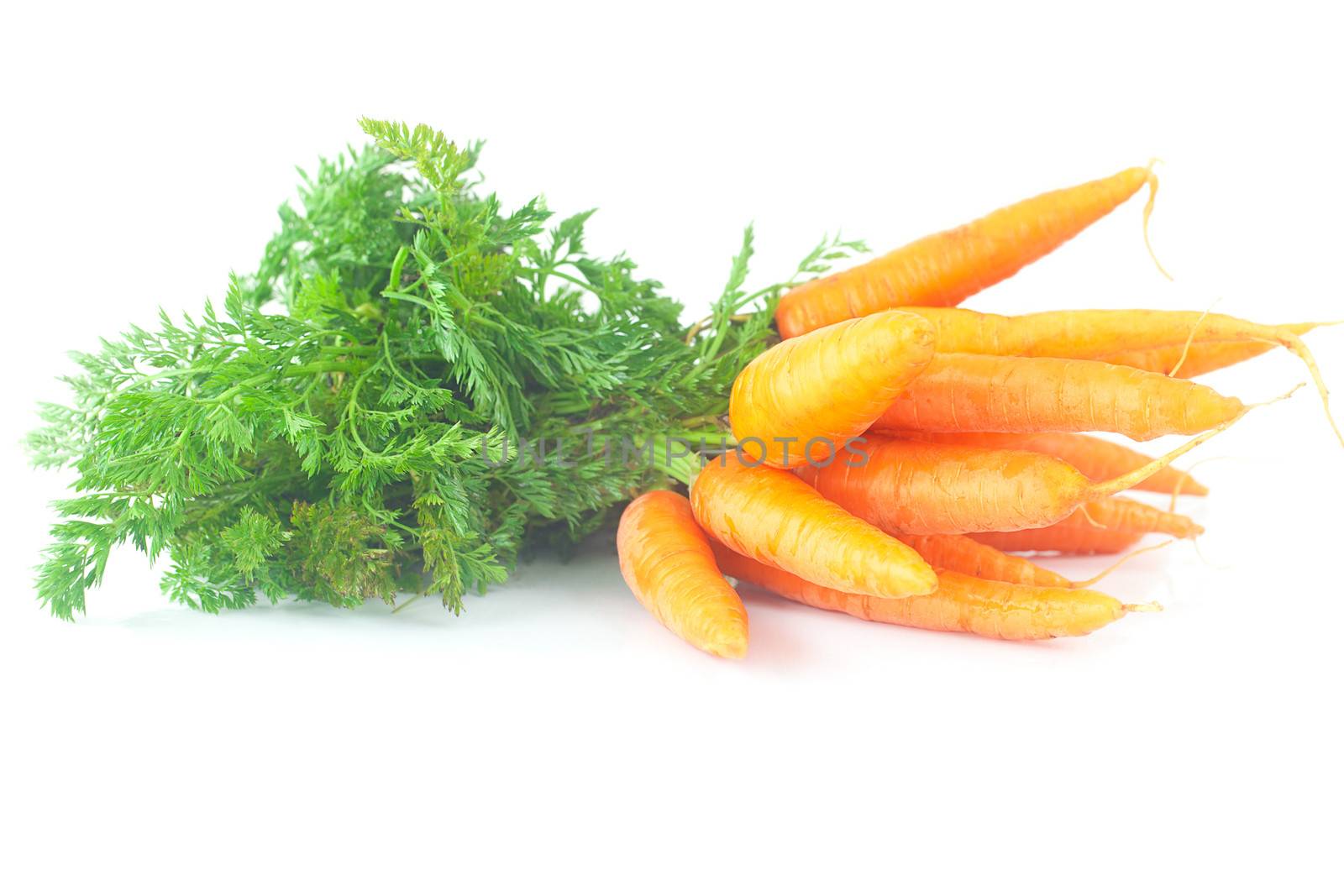 bunch of carrots with green leaves isolated on white by jannyjus
