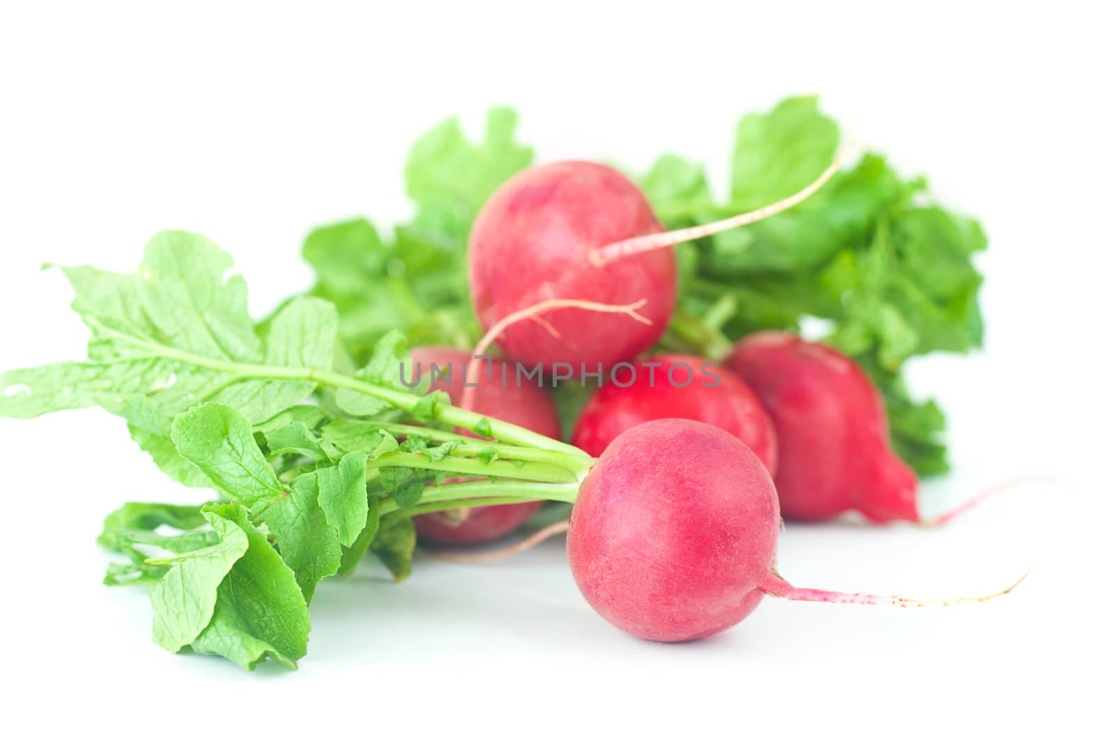 juicy red radishes with green leaves isolated on white