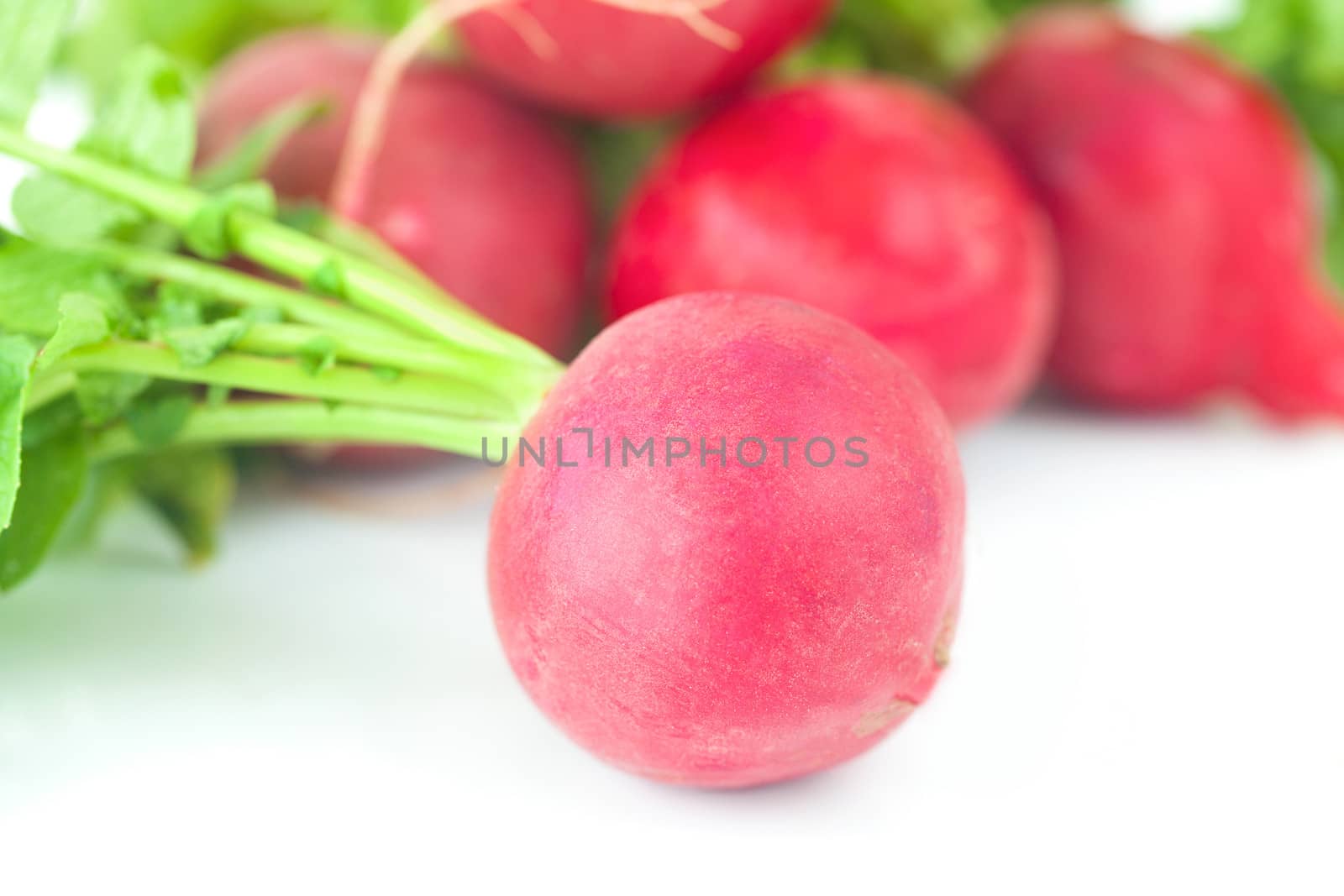 juicy red radishes with green leaves isolated on white by jannyjus