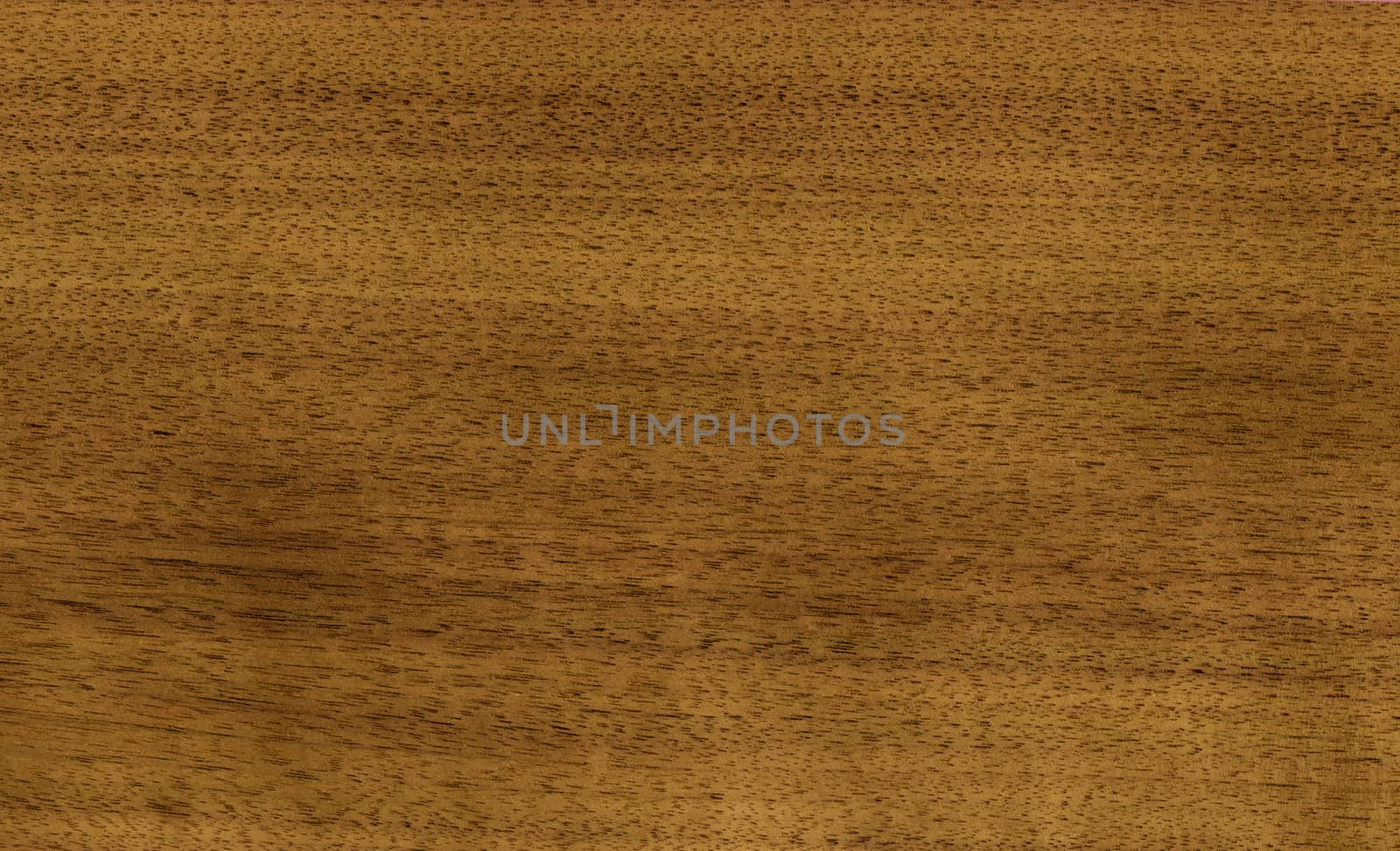 Wood, natural finishing material, veneer tree nutwood
