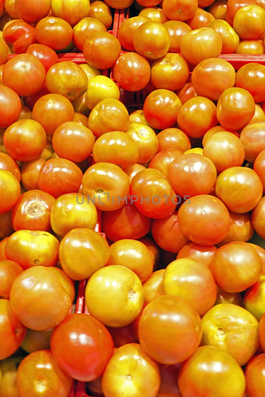 Tomatoes in the supermarket by devy
