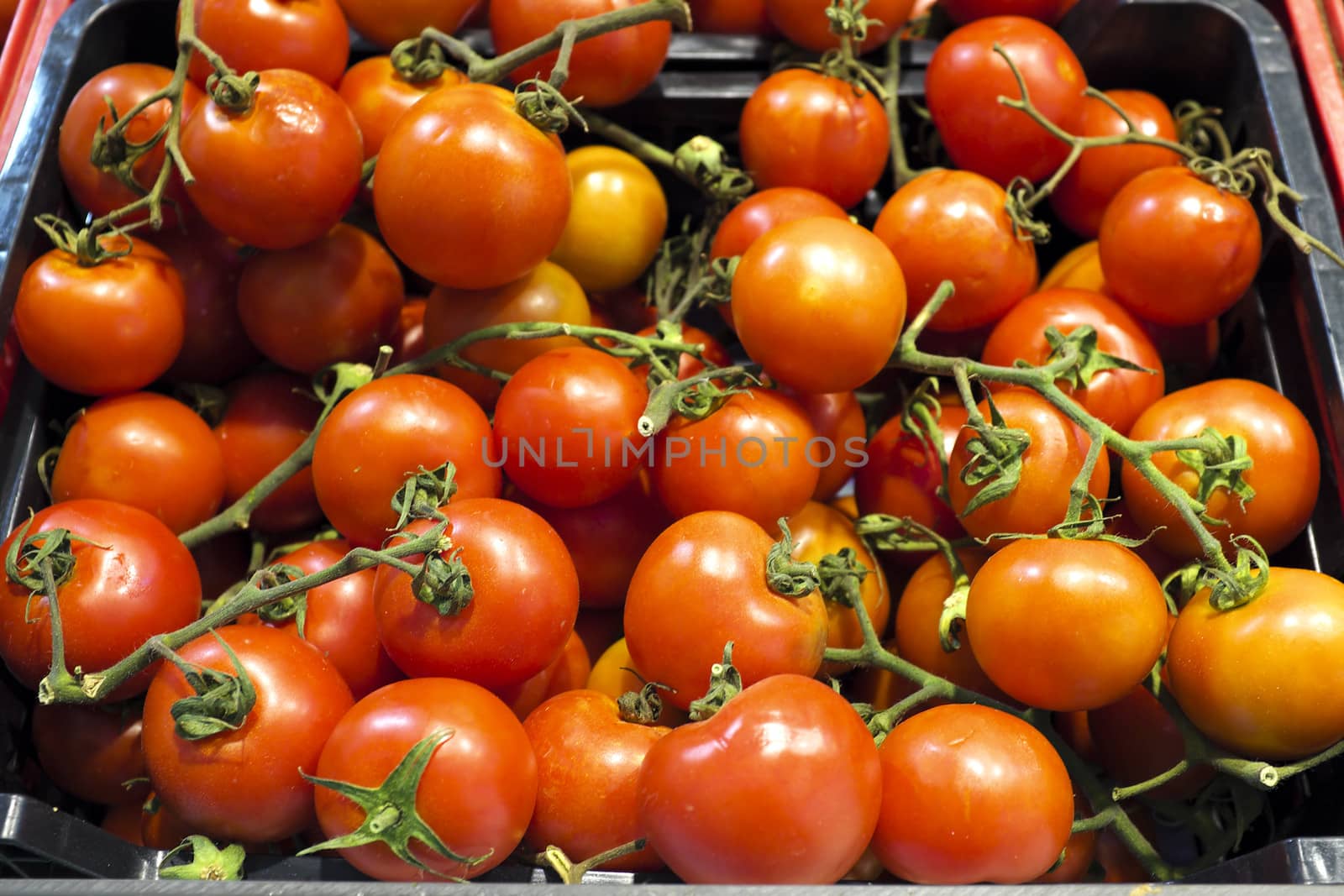 0rganic tomatoes in a market stall