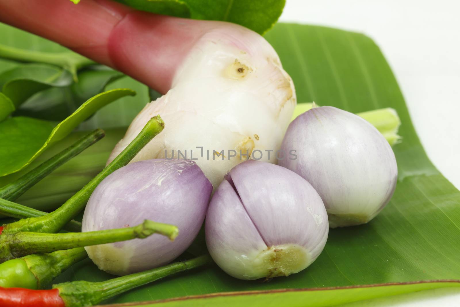 Fresh shallots detail of ingredients for Thai soup by ngungfoto