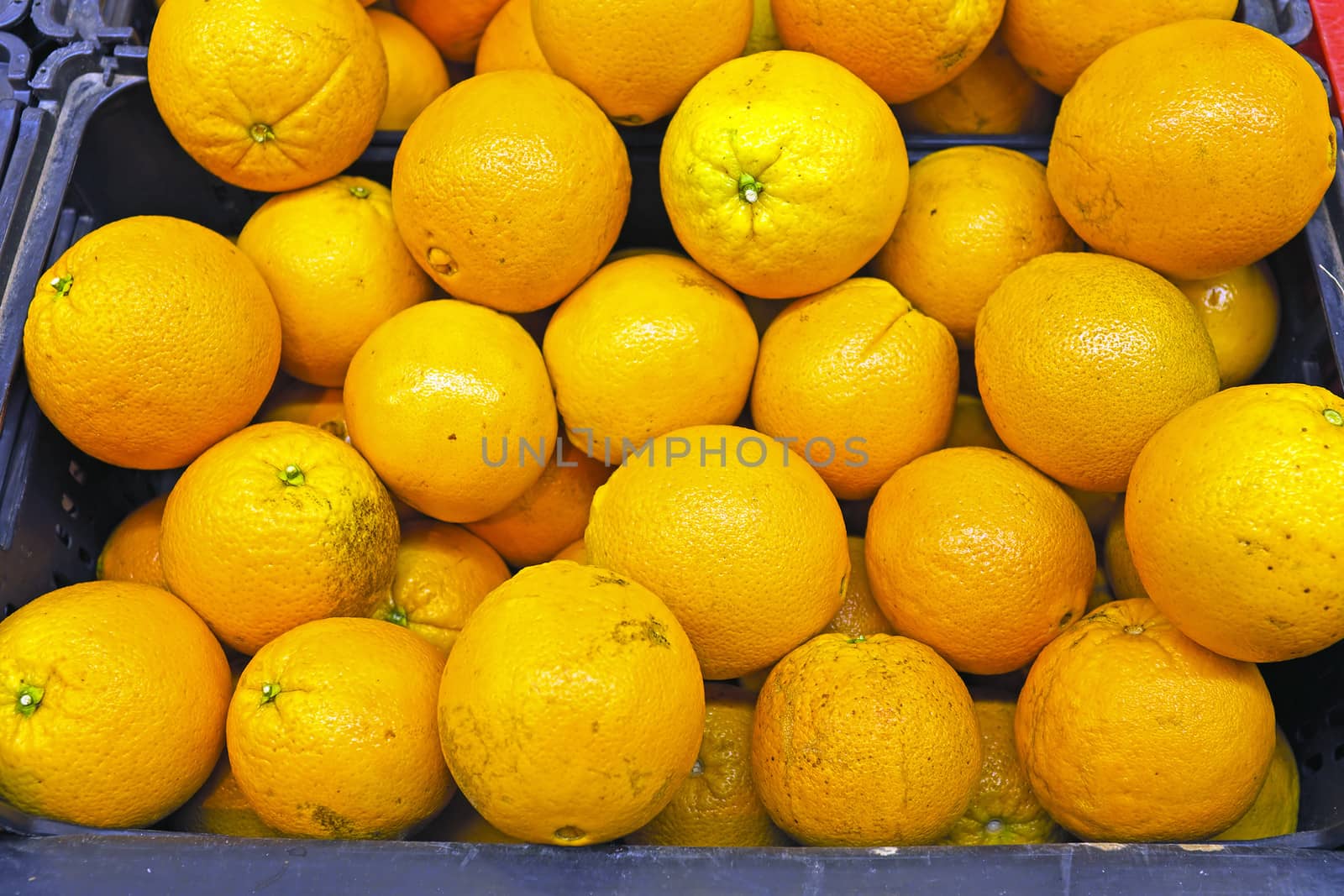Organic oranges from Portugal