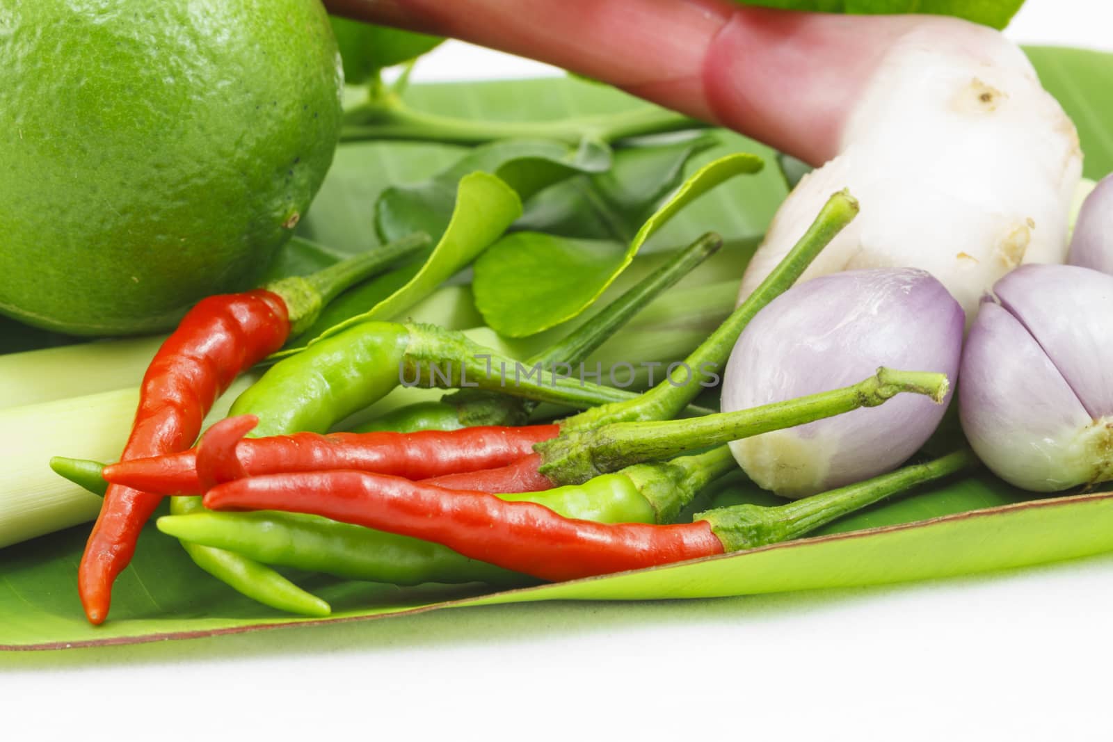 Fresh chili detail of ingredients for Thai soup, Tom Yum Goong.