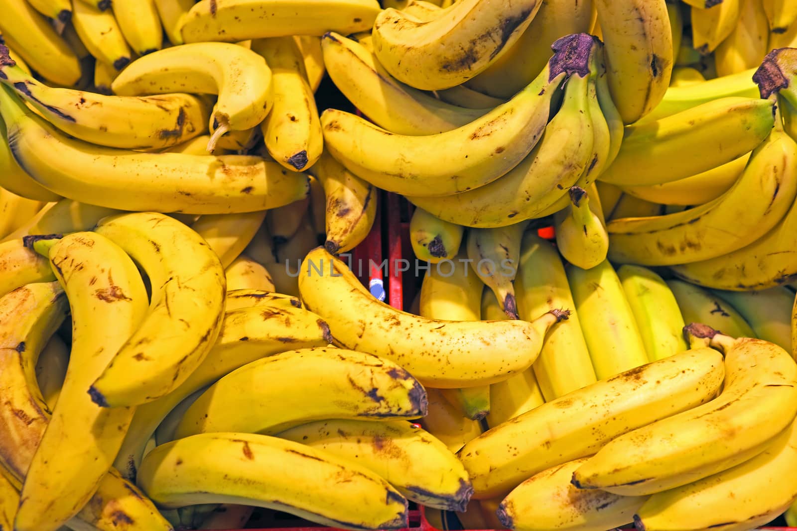 Oranic bananas in a market stall