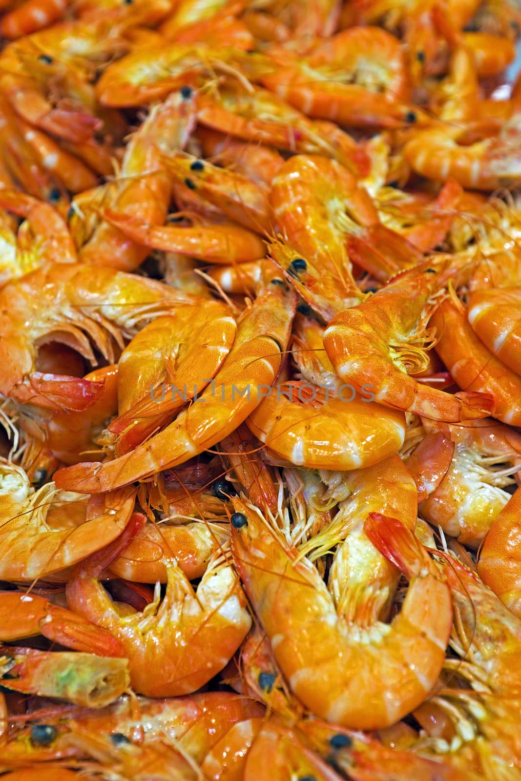 Shrimps in the fish market