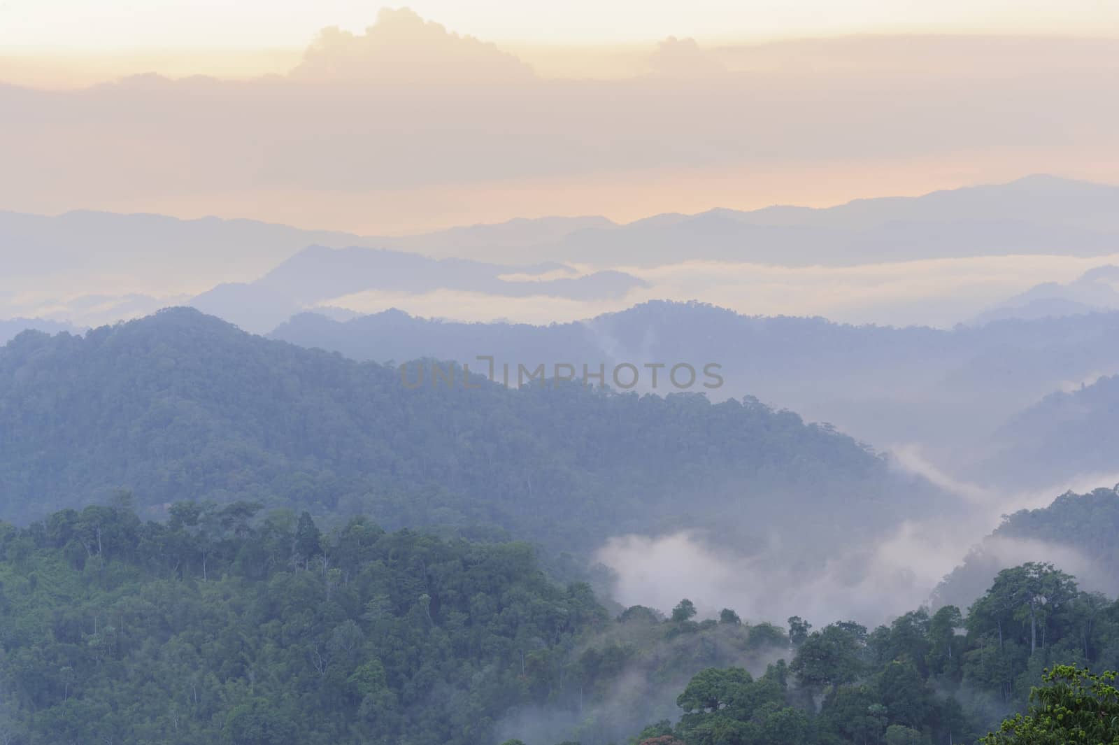 Beautiful sunset  floating fog landscape. by ngungfoto