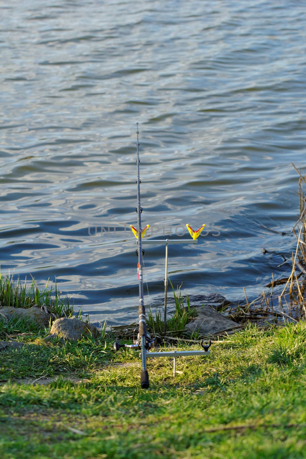 fishing rod on rack  by NagyDodo