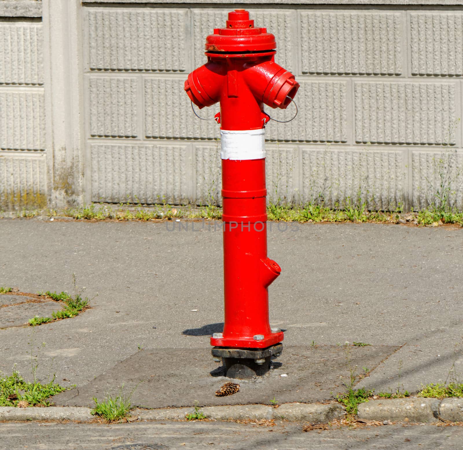 red fire hydrant on the sidewalk